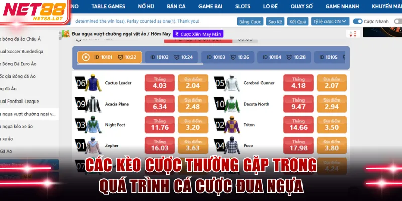 Cá Cược Đua Ngựa NET88 Sôi Động Trên Trường Đua 2026 3 Các kèo cược thường gặp trong quá trình cá cược đua ngựa