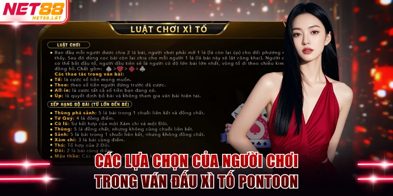 Xì Tố Pontoon - Quy Tắc Tham Gia Ván Cược Siêu Đơn Giản 3 Các lựa chọn của người chơi trong ván đấu Xì Tố Pontoon
