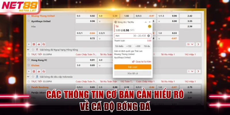 Gợi Ý Cách Cá Độ Bóng Đá Thắng Nhanh Và Lớn Tại NET88 2 Các thông tin cơ bản cần hiểu rõ về cá độ bóng đá