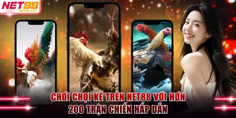 Chơi chọi kê trên NET88 với hơn 200 trận chiến hấp dẫn