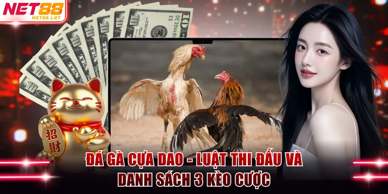Đá Gà Cựa Dao NET88 - Luật Thi Đấu Và Danh Sách 3 Kèo Cược 1 đá gà cựa dao