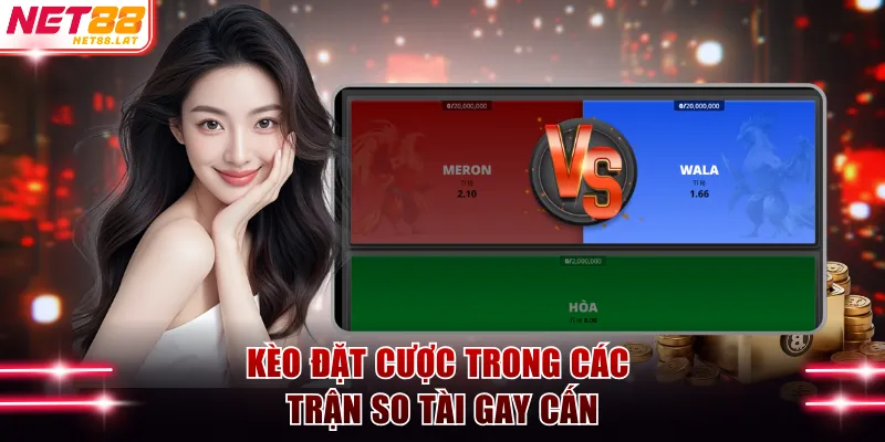 Đá Gà Cựa Dao NET88 - Luật Thi Đấu Và Danh Sách 3 Kèo Cược 4 Kèo đặt cược trong các trận so tài gay cấn