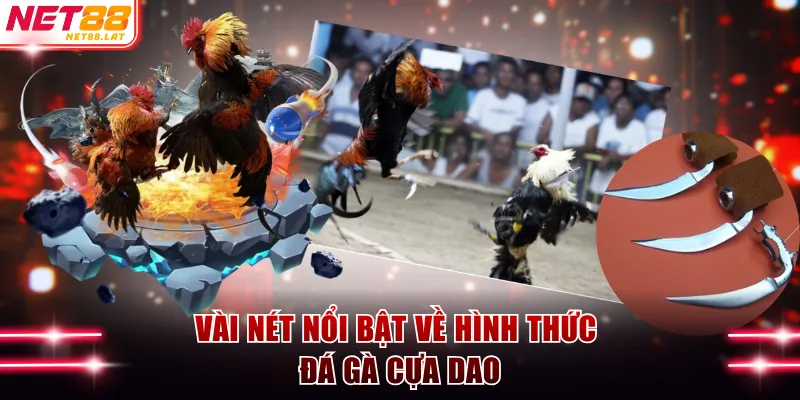 Đá Gà Cựa Dao NET88 - Luật Thi Đấu Và Danh Sách 3 Kèo Cược 2 Vài nét nổi bật về đá gà cựa dao