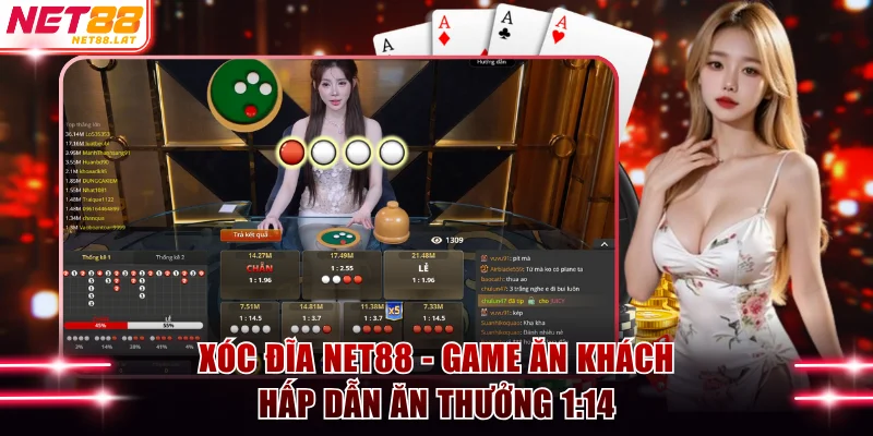 Xóc Đĩa NET88 - Game Ăn Khách Hấp Dẫn Ăn Thưởng 1:14 1 Xóc đĩa NET88